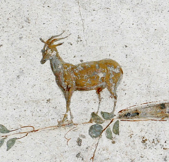 Small wall painting from Villa Poppaea         